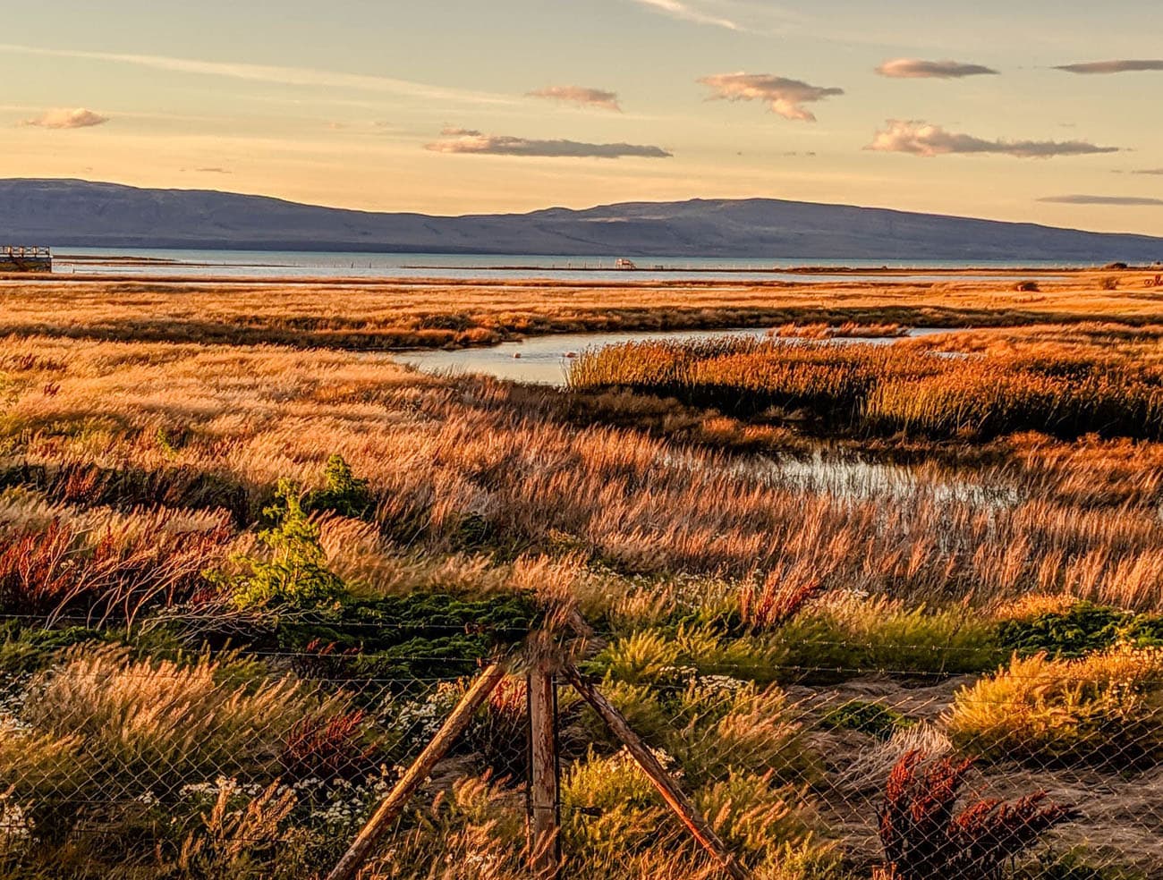 Golden hour at a wild bird preserve on the banks of lake argentina