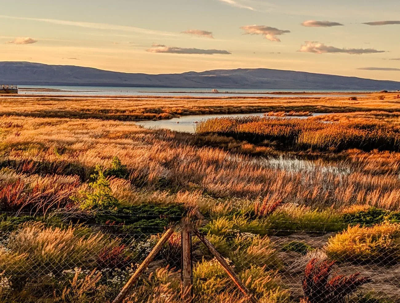 Golden hour at a wild bird preserve on the banks of lake argentina