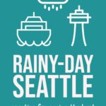 Seattle's downtown marina and cruise ship pier in the rain.