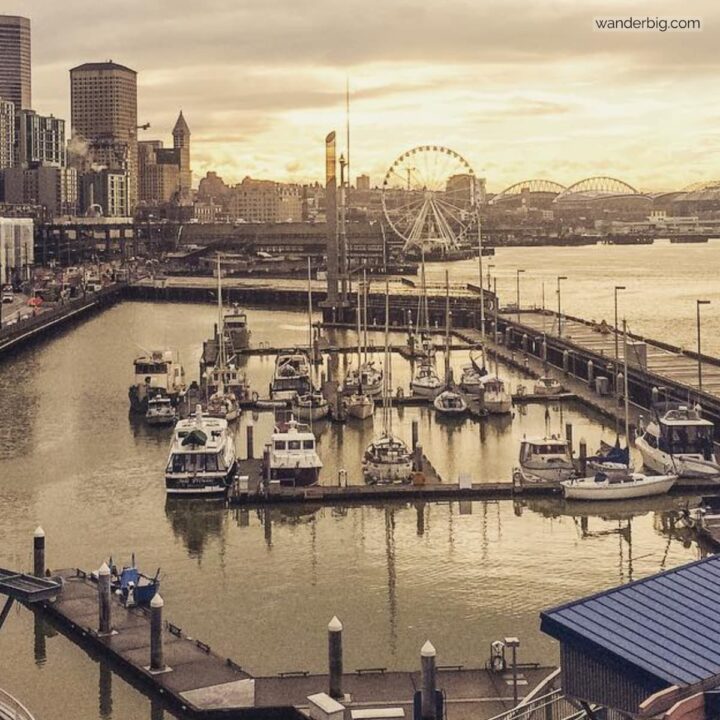 Seattle's downtown marina and cruise ship pier in the rain.