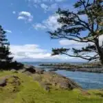 Vacationing on lopez island in the pnw
