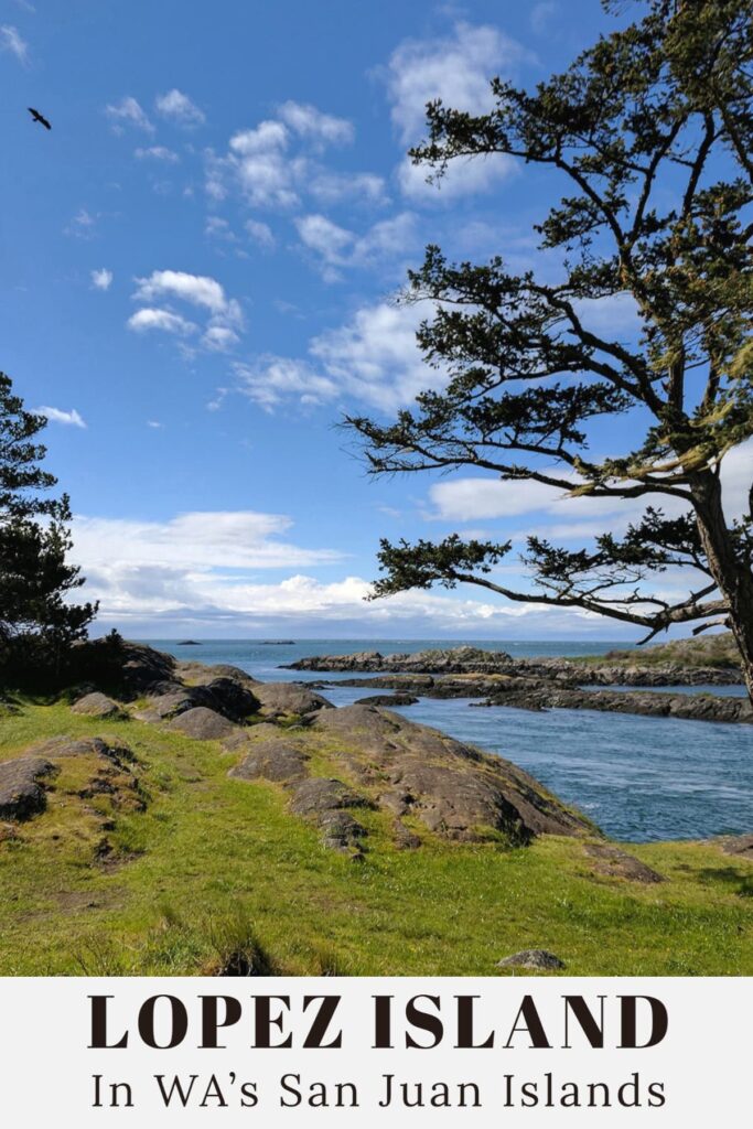 Vacationing on lopez island in the pnw