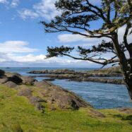 Lopez island things to do: washington’s san juan island
