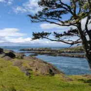 Lopez island things to do: washington’s san juan island