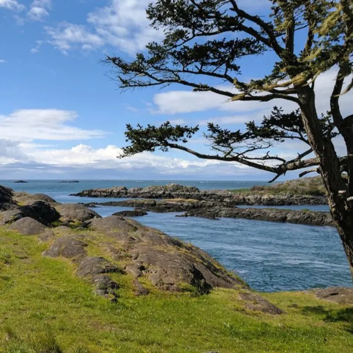 Vacationing on Lopez Island in the PNW
