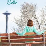 Wb solo seattle pin2