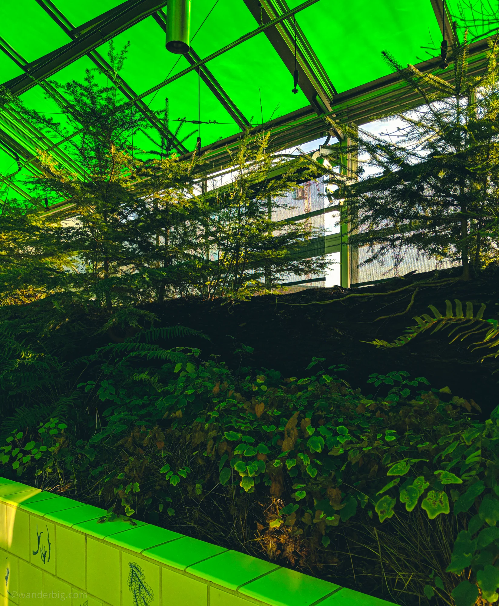 Art installation at the olympic sculpture park.