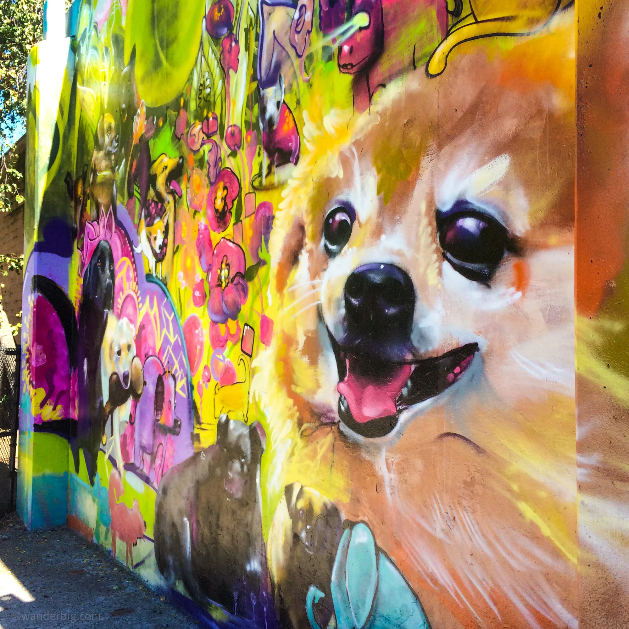 Dog park mural in seattle.