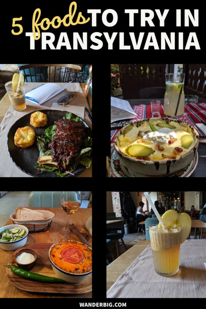 Unique and amazing foods to try when traveling in transylvania in romania.