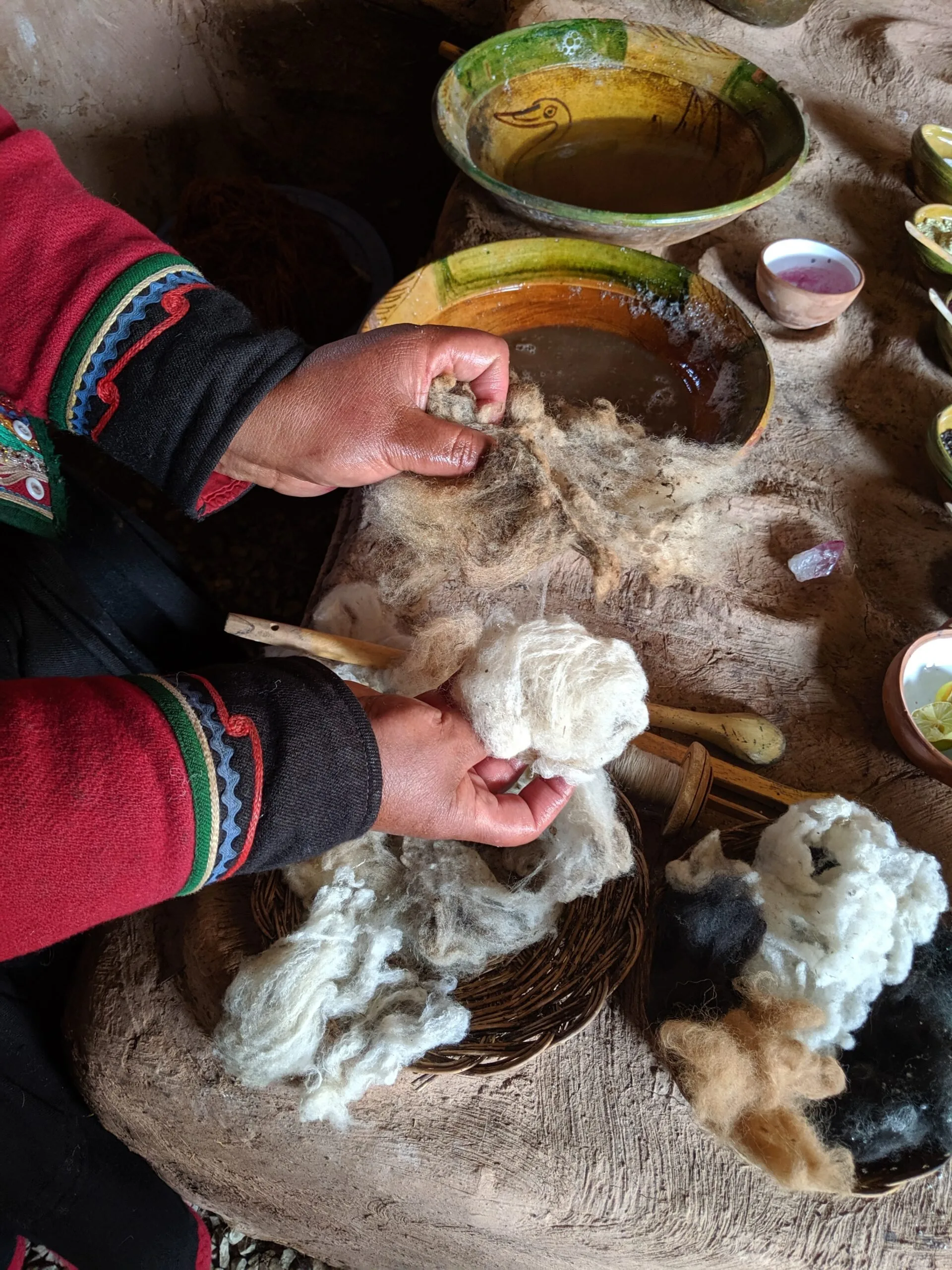 A woman demonstrates the process of cleaning fiber.