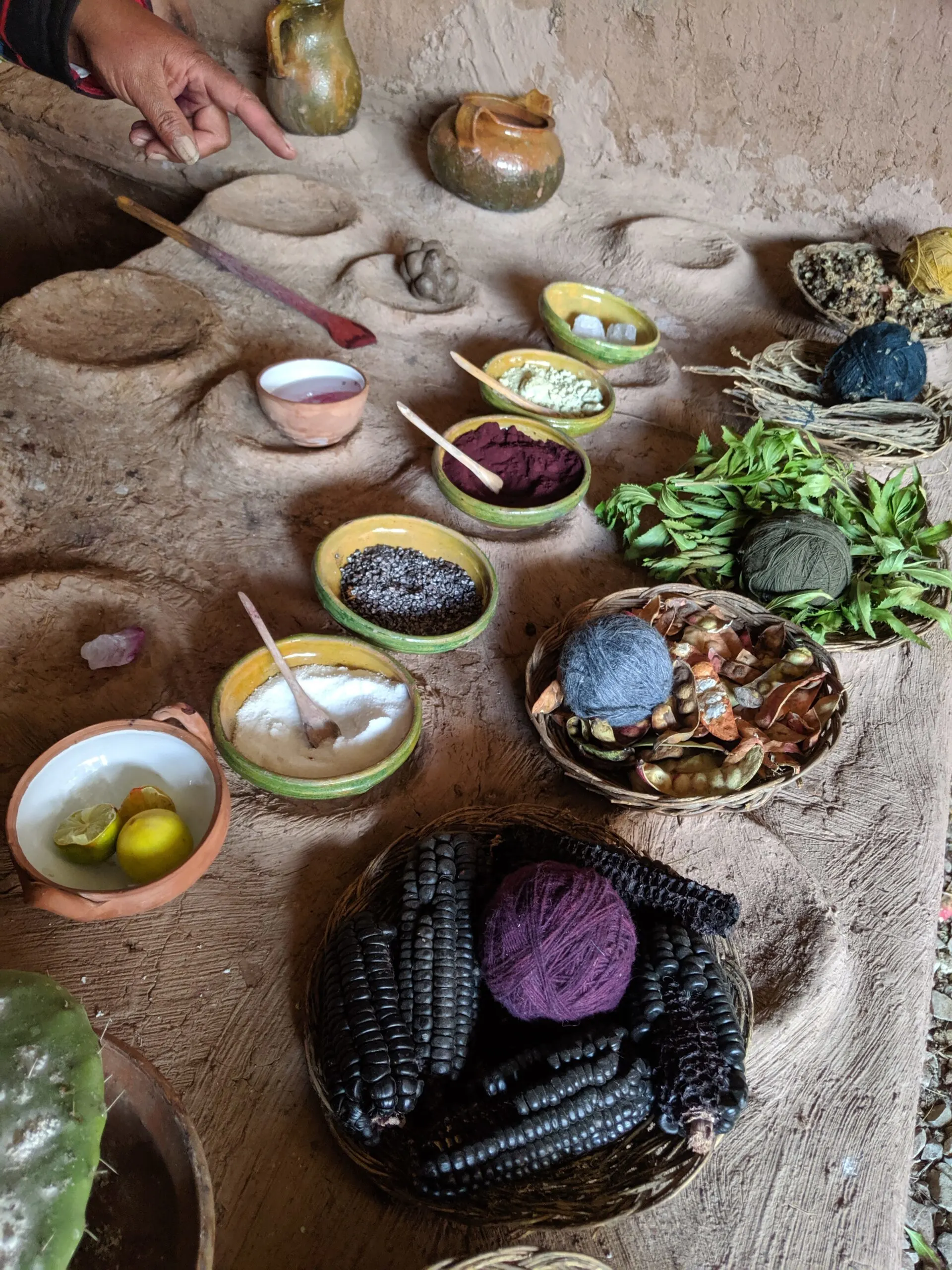 A table laid out with various natural substances used to die yarn made from alpaca fiber.