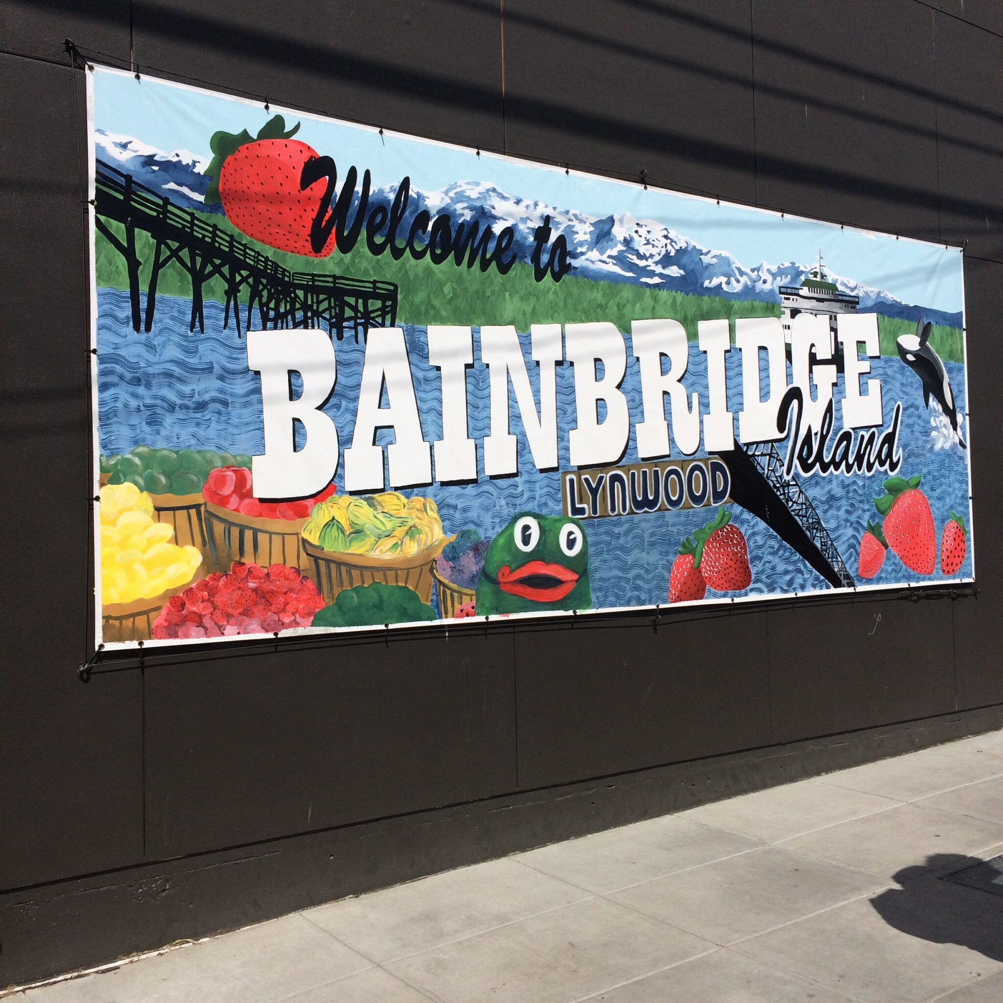 Things To Do on Bainbridge Island without a Car