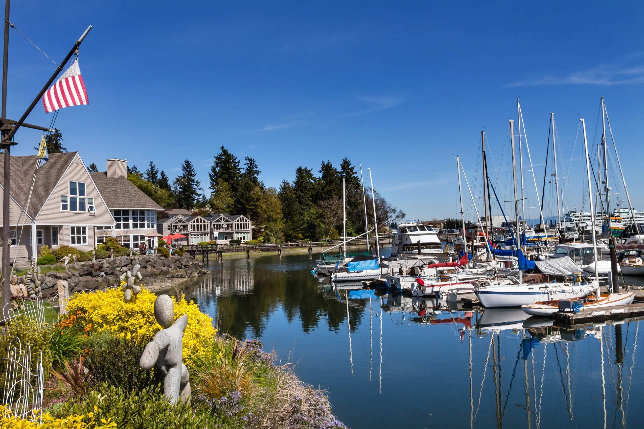 Sailboats docked in a marina on bainbridge island