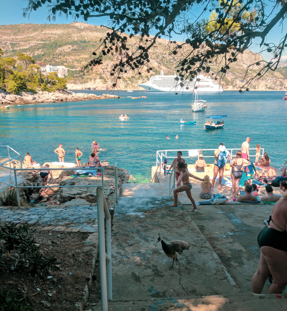 Tourists and locals swimming and resting on the rocks and docks of lokrum island, with a cruise ship in the background and a peacock in the foreground.