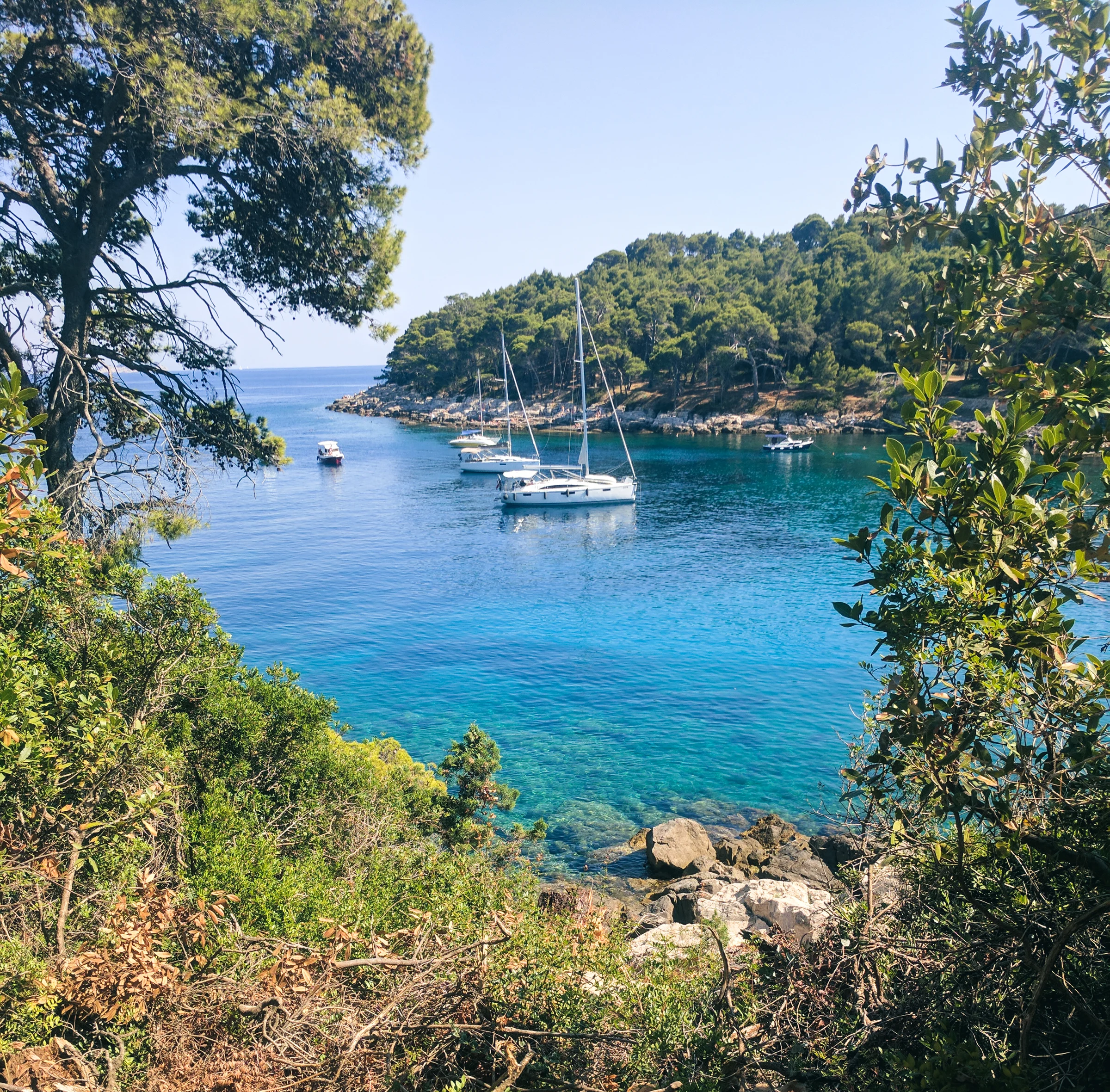 Sailboats in a bay off lokrum island.