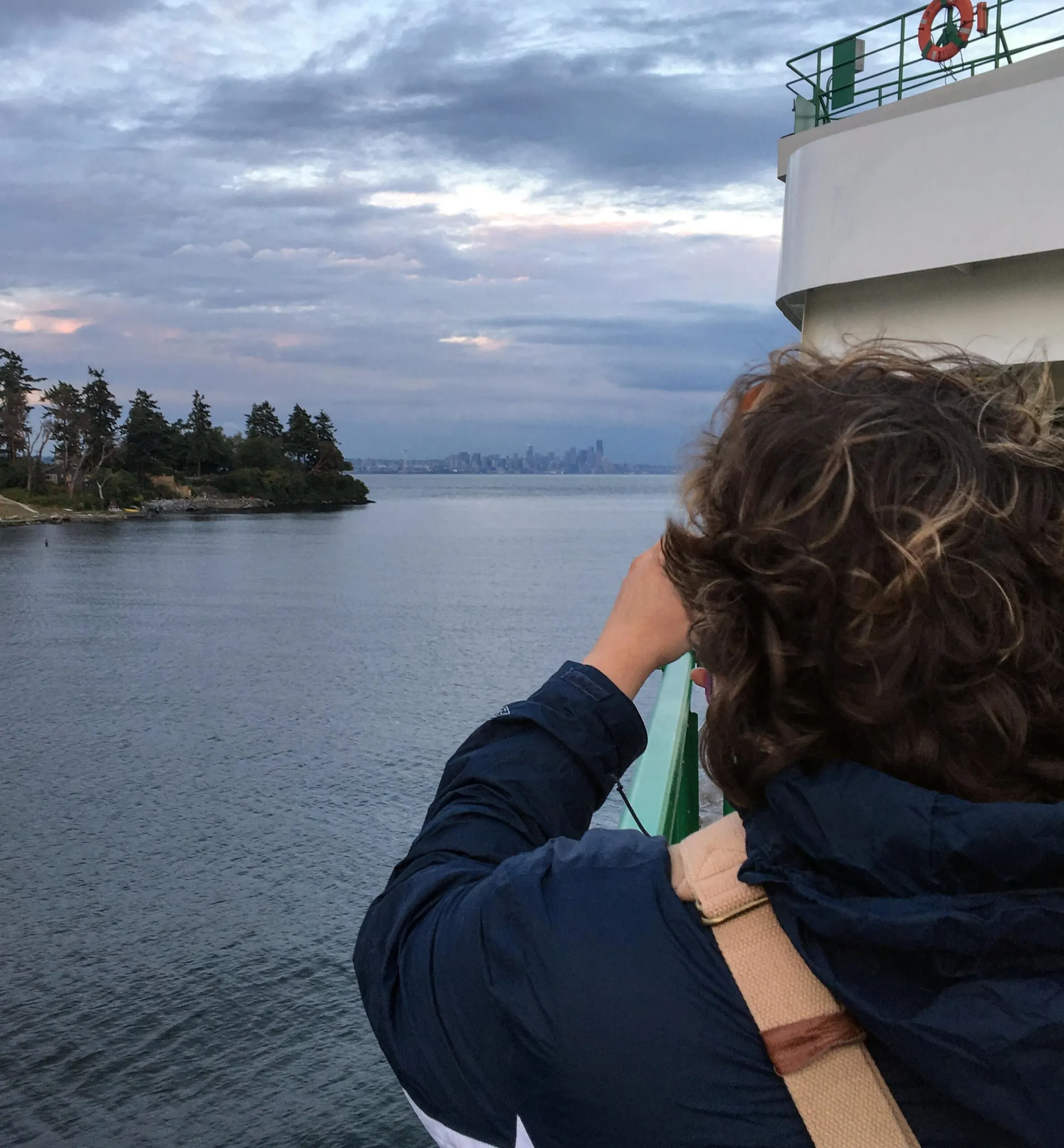 Seattle skyline as seen from across the sound in bainbridge island.