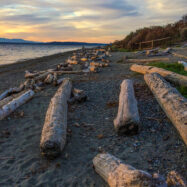 Things to do in seattle in january, february, or march