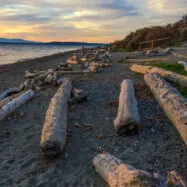 Things to do in seattle in january, february, or march