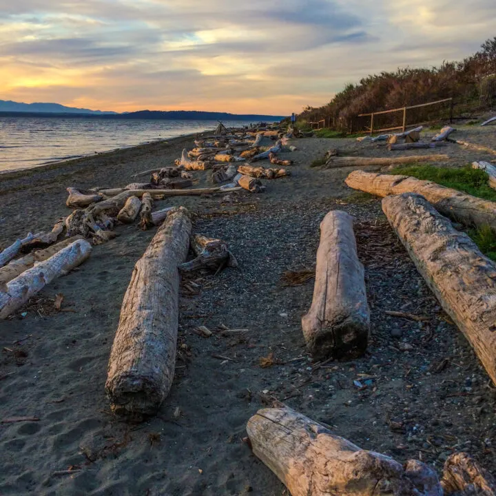 Driftwood logs on the beach in the Pacific Northwest.