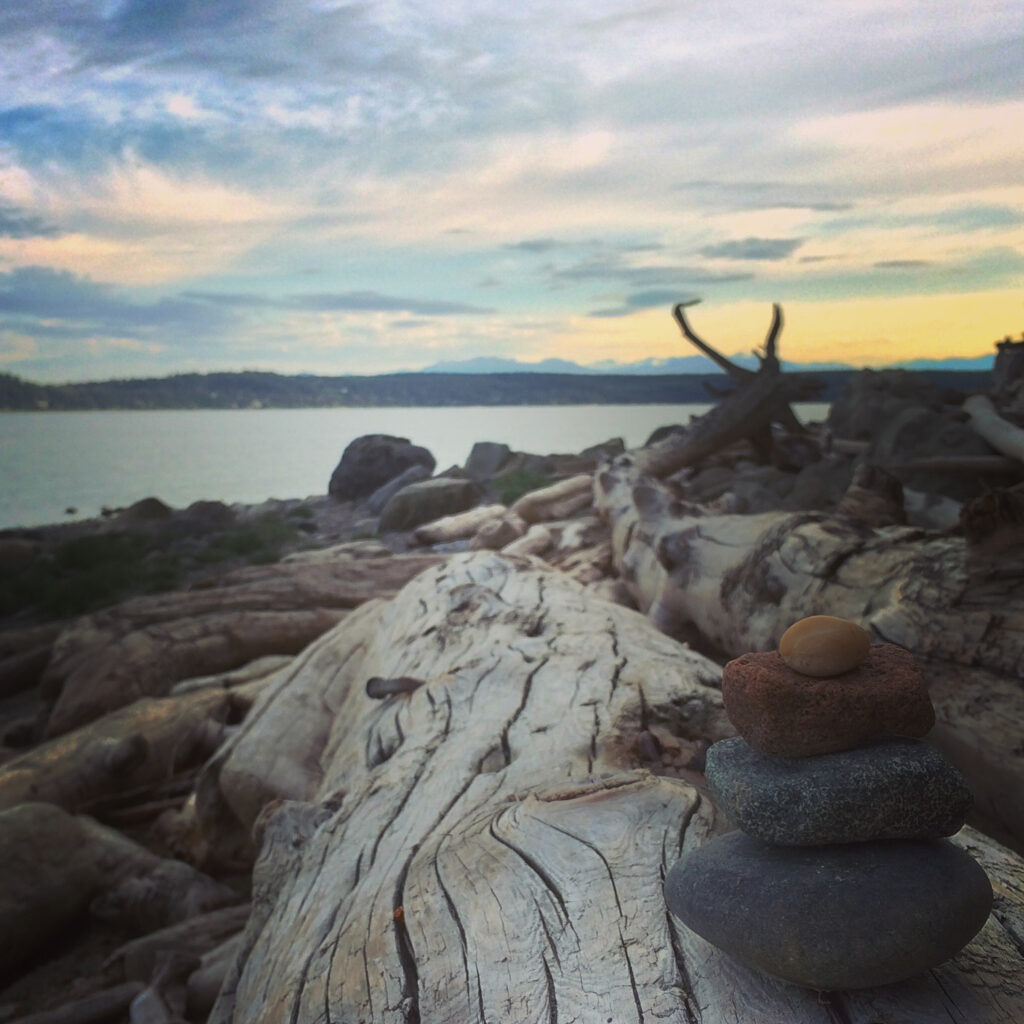 Pocket beaches are small sections of restores waterfront in urban seattle.