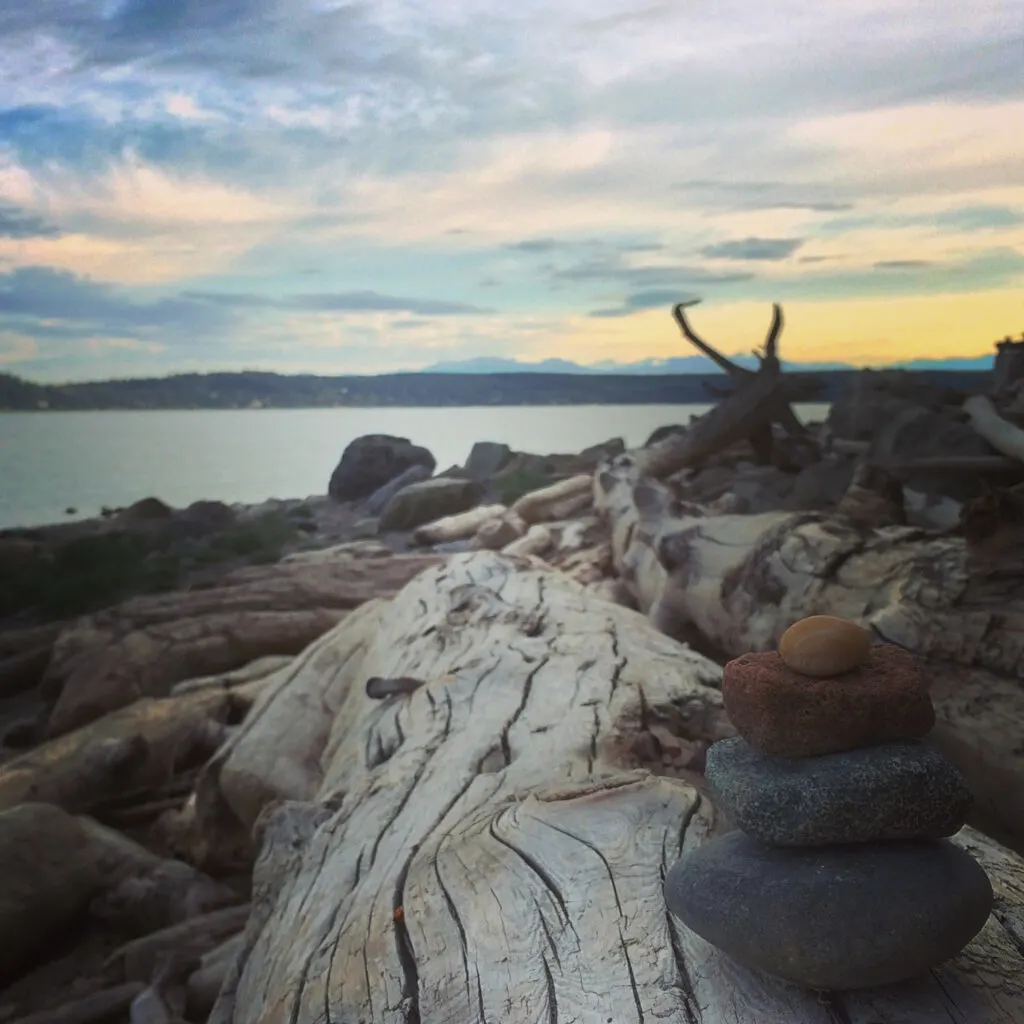 Pocket beaches are small sections of restores waterfront in urban seattle.