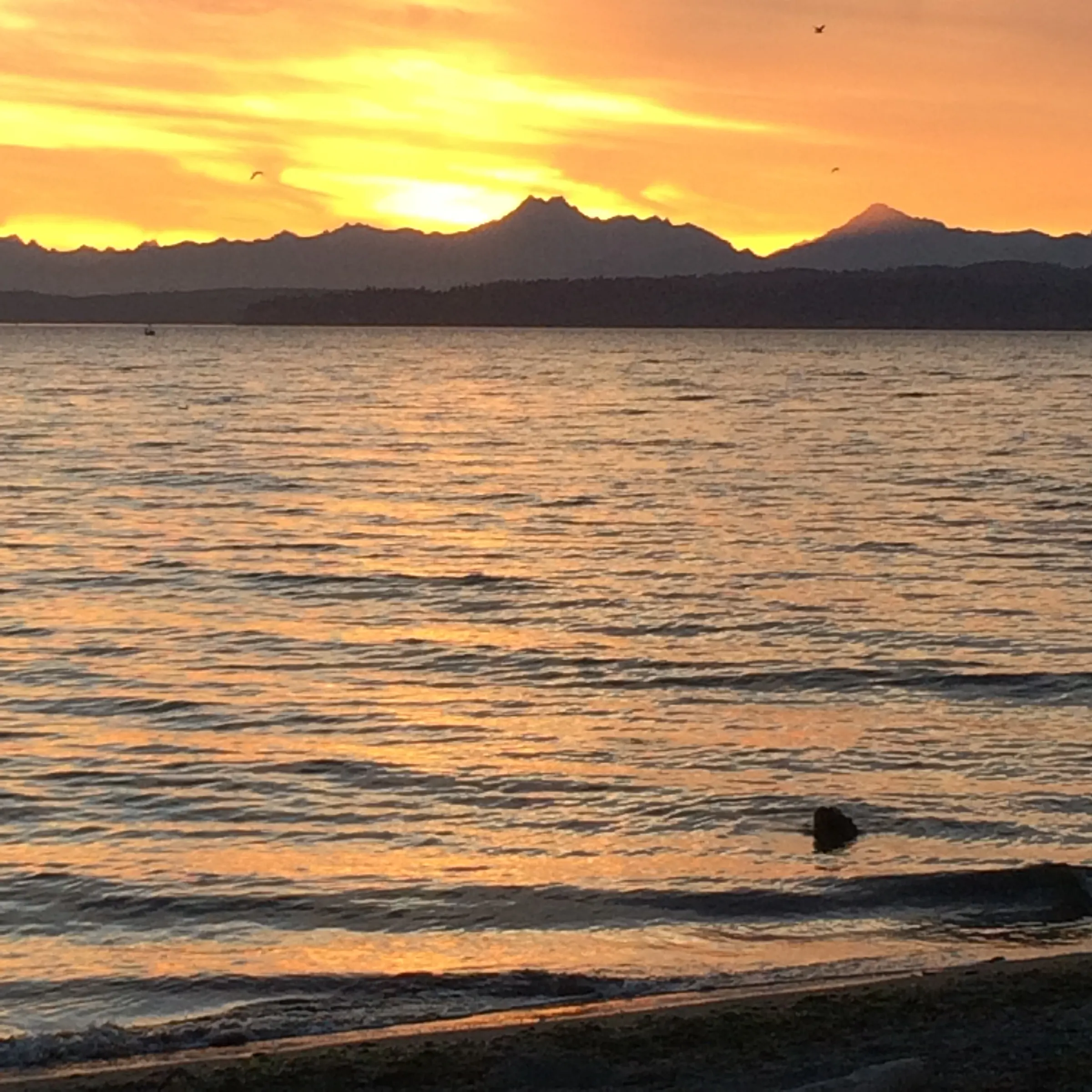 A sunset over the olympic mountains from a beach in seattle.