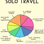 A pie chart image with text caption reading: why people solo travel.