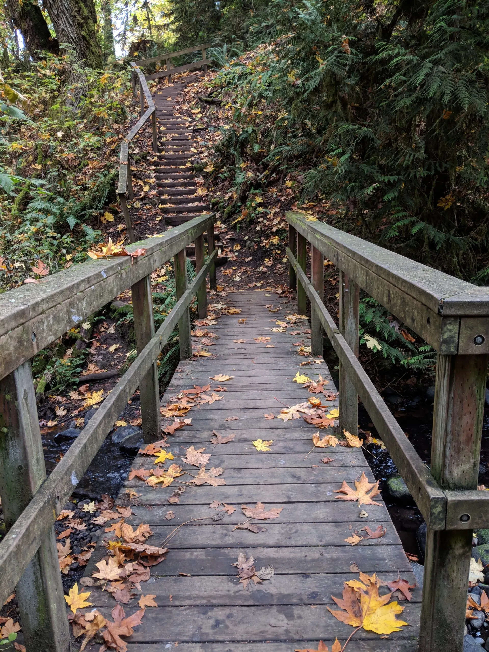 A wooden bridge over creek in flaming geyser state park.