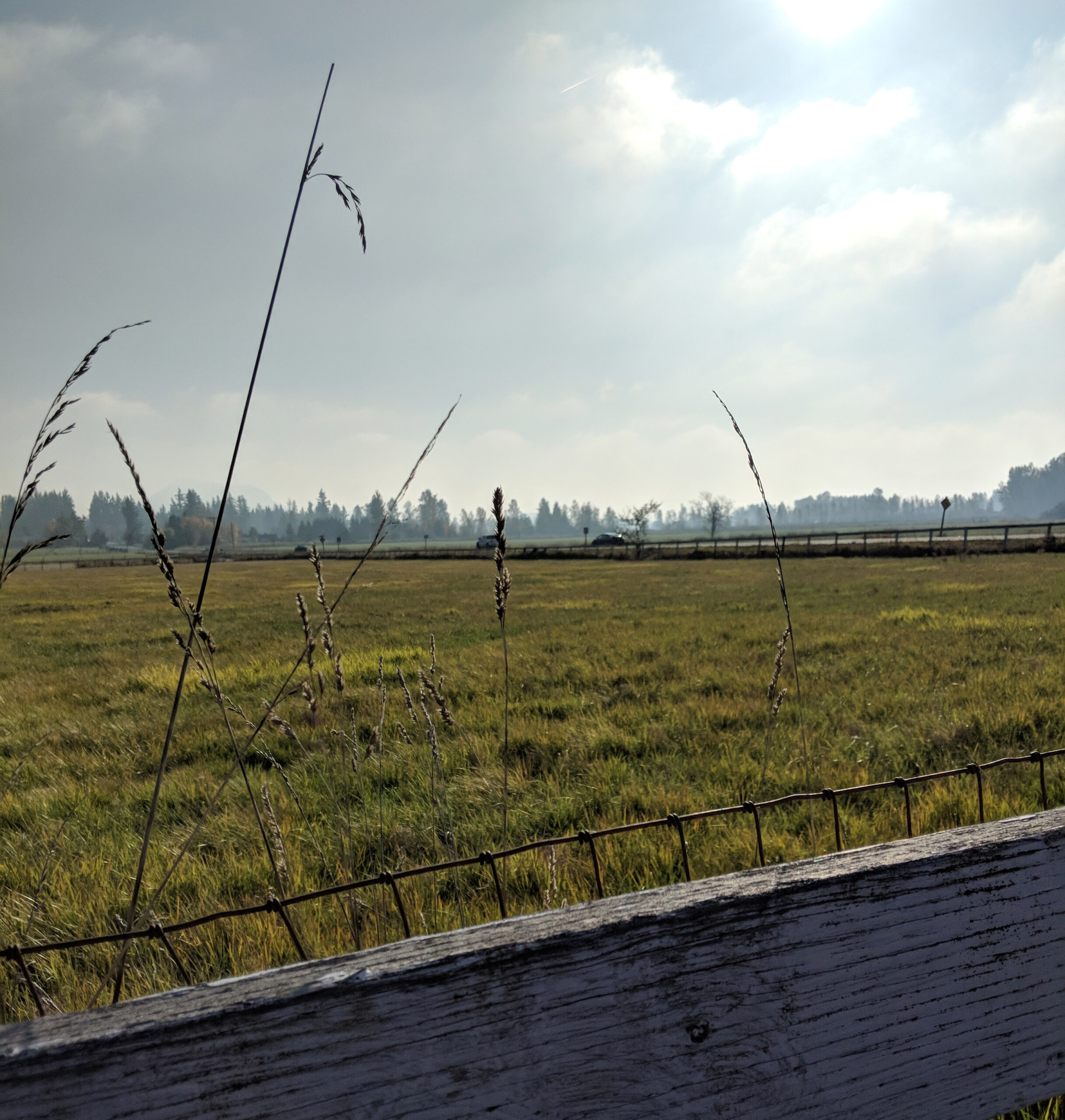 A rural horizon in washington state.