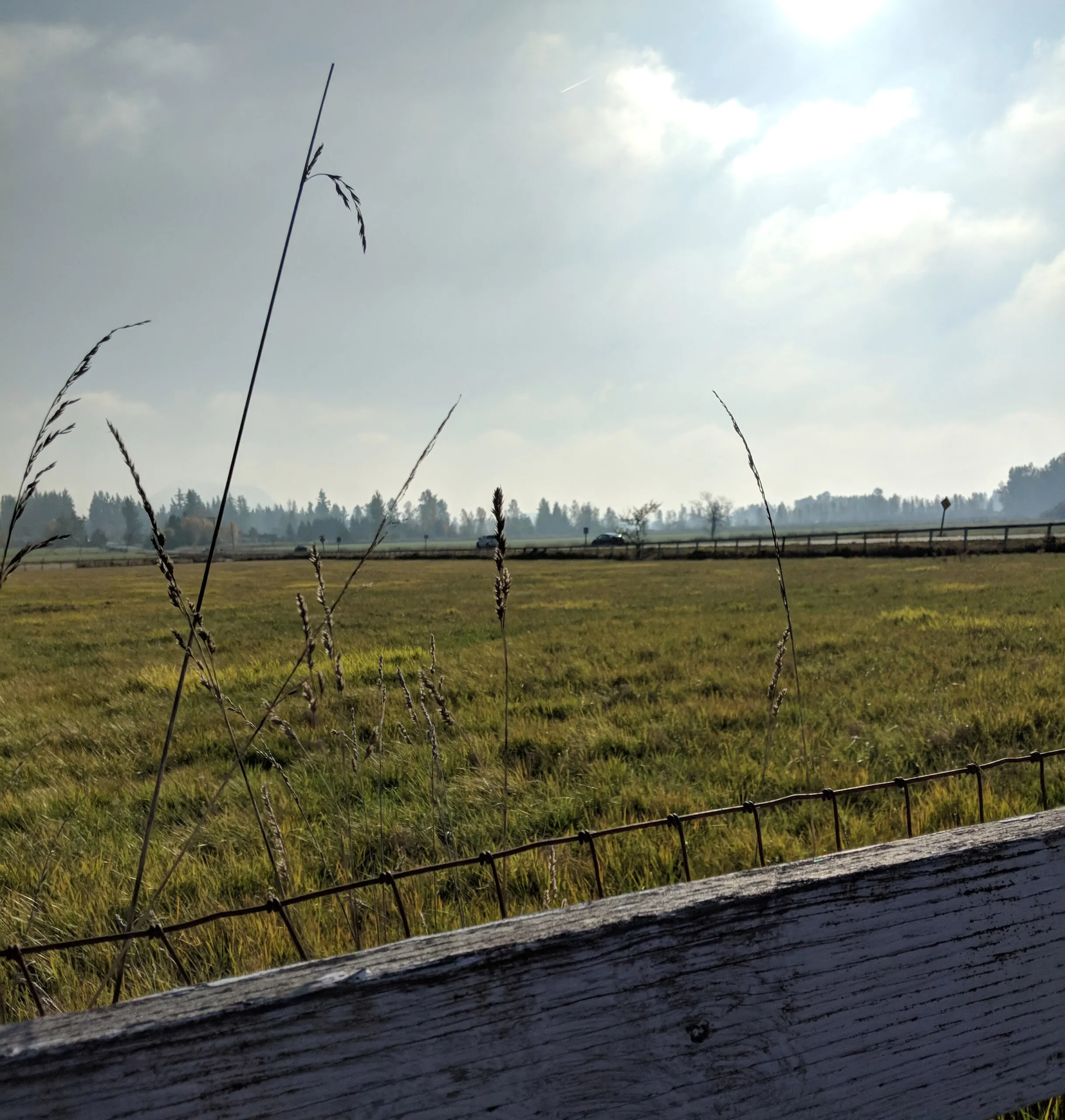 A rural horizon in washington state.