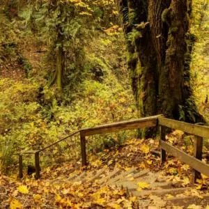 Flaming geyser state park in washington: things to do