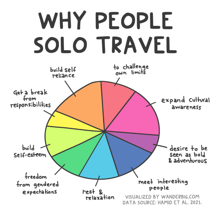 A pie chart image with text caption reading: Why people solo travel.