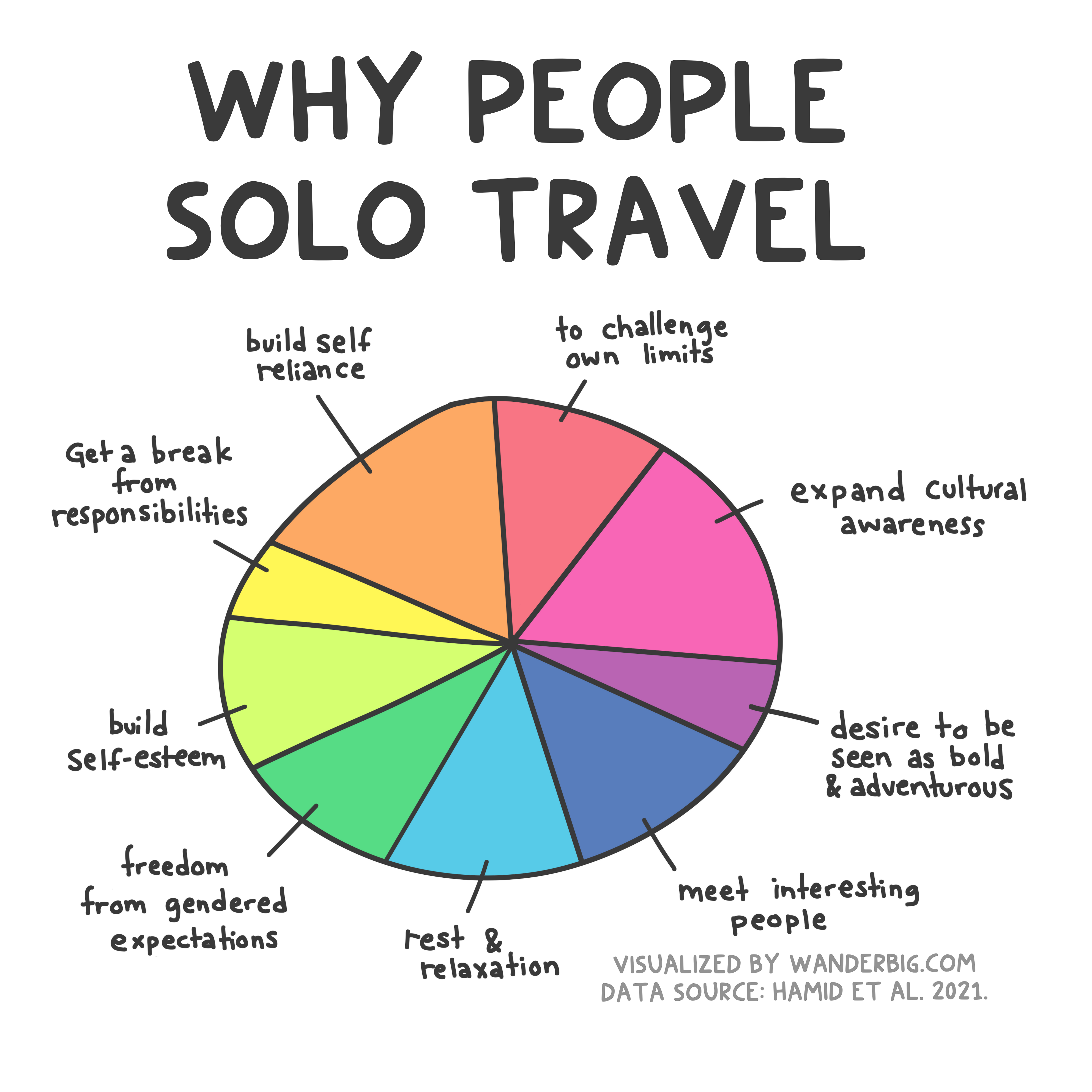A pie chart image with text caption reading: why people solo travel.