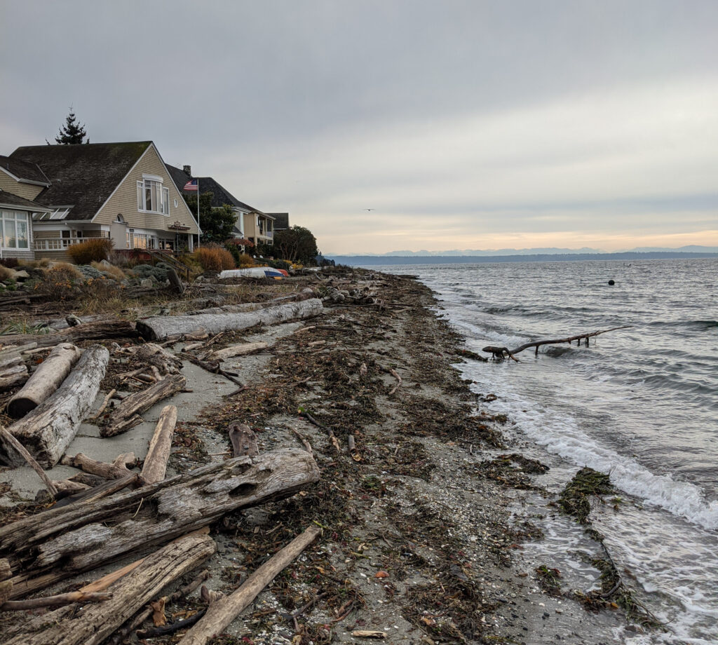 What to Do on the Beach in the Winter Cold Day Beach Activities