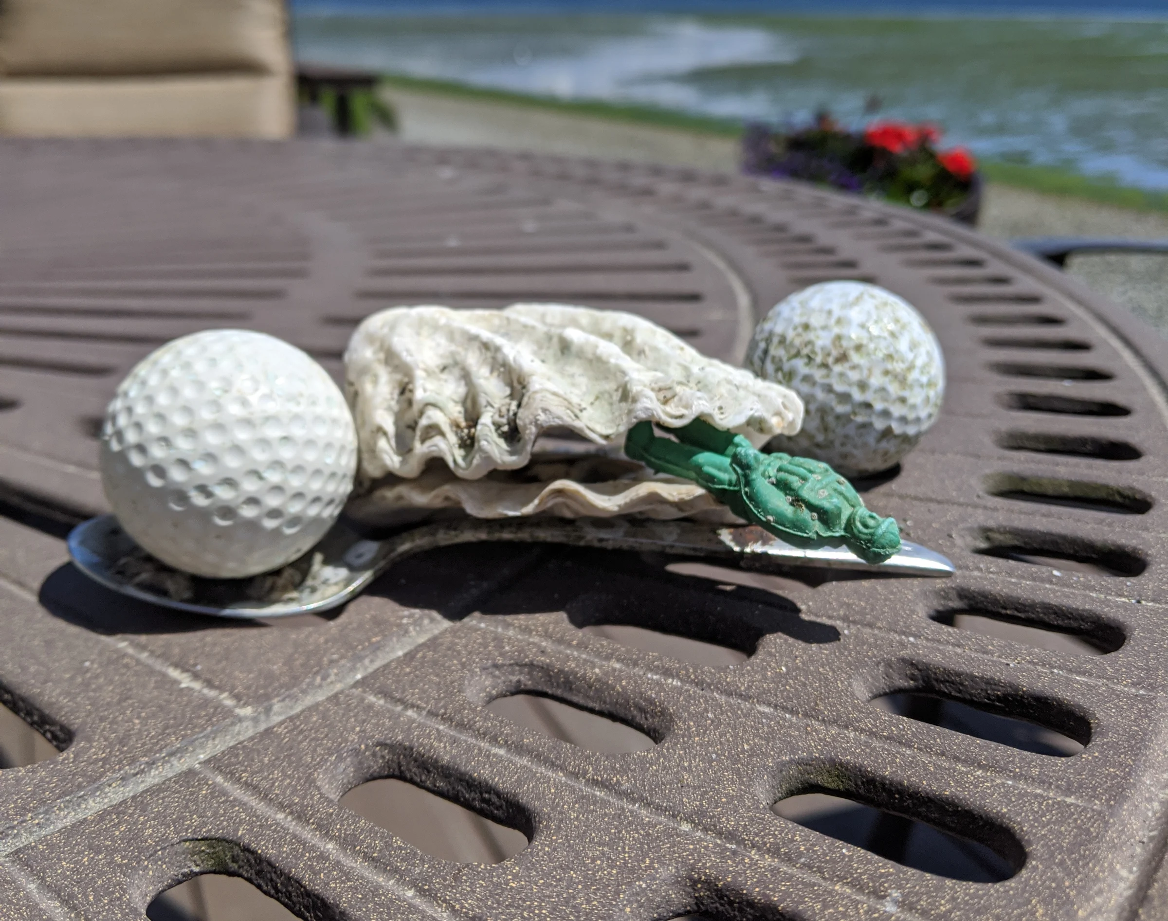 A collection of beachcombed shells and trash, collected on a winter day on the beach.