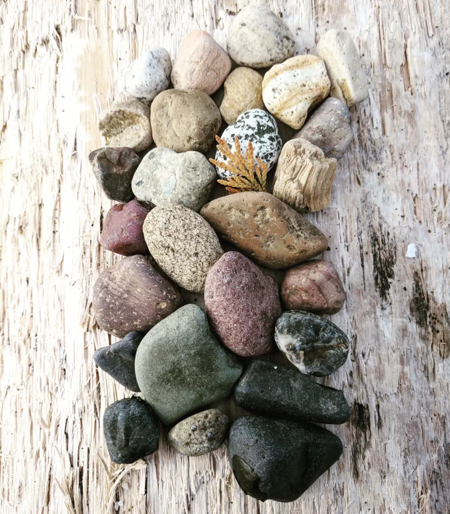 Colorful tumbled rocks artfully arranged on a piece of driftwood on the beach in winter.