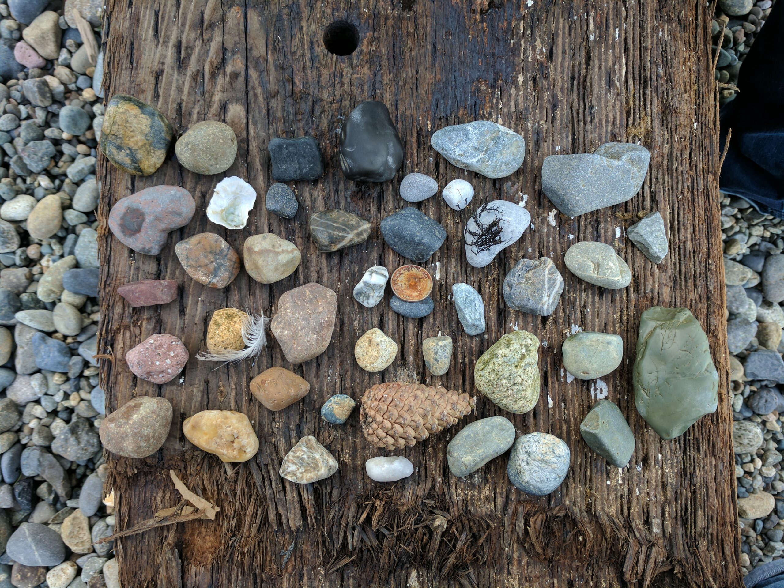 An assortment of rocks found on the pocket beaches of downtown seattle.