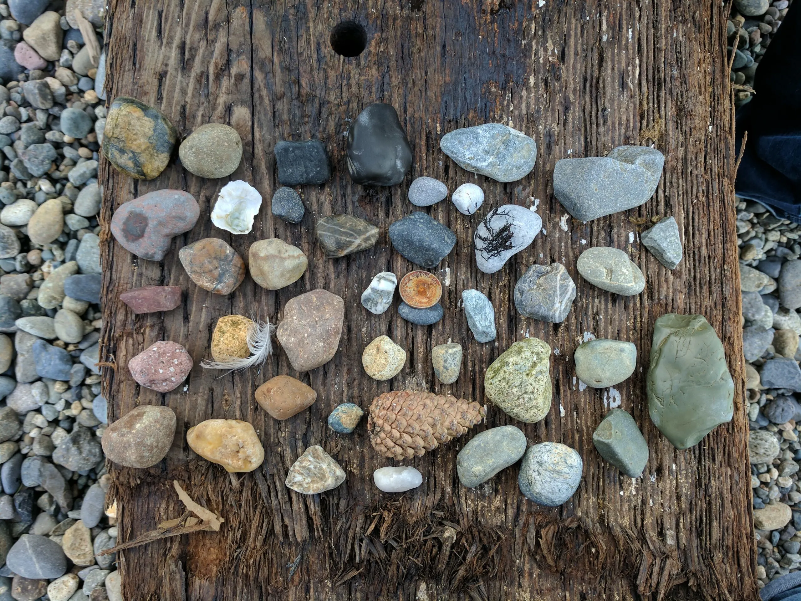 An assortment of rocks found on the pocket beaches of downtown seattle.