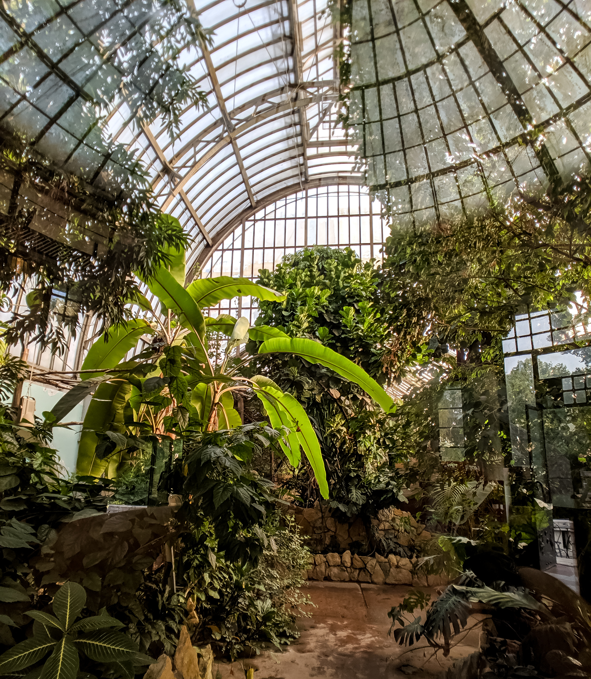 Greenhouse at at budapest zoo.
