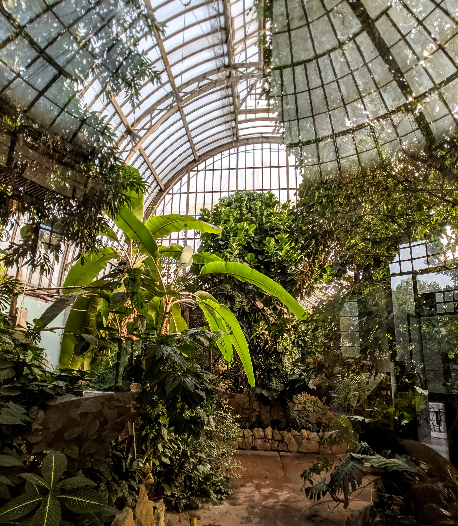 Greenhouse at at budapest zoo.
