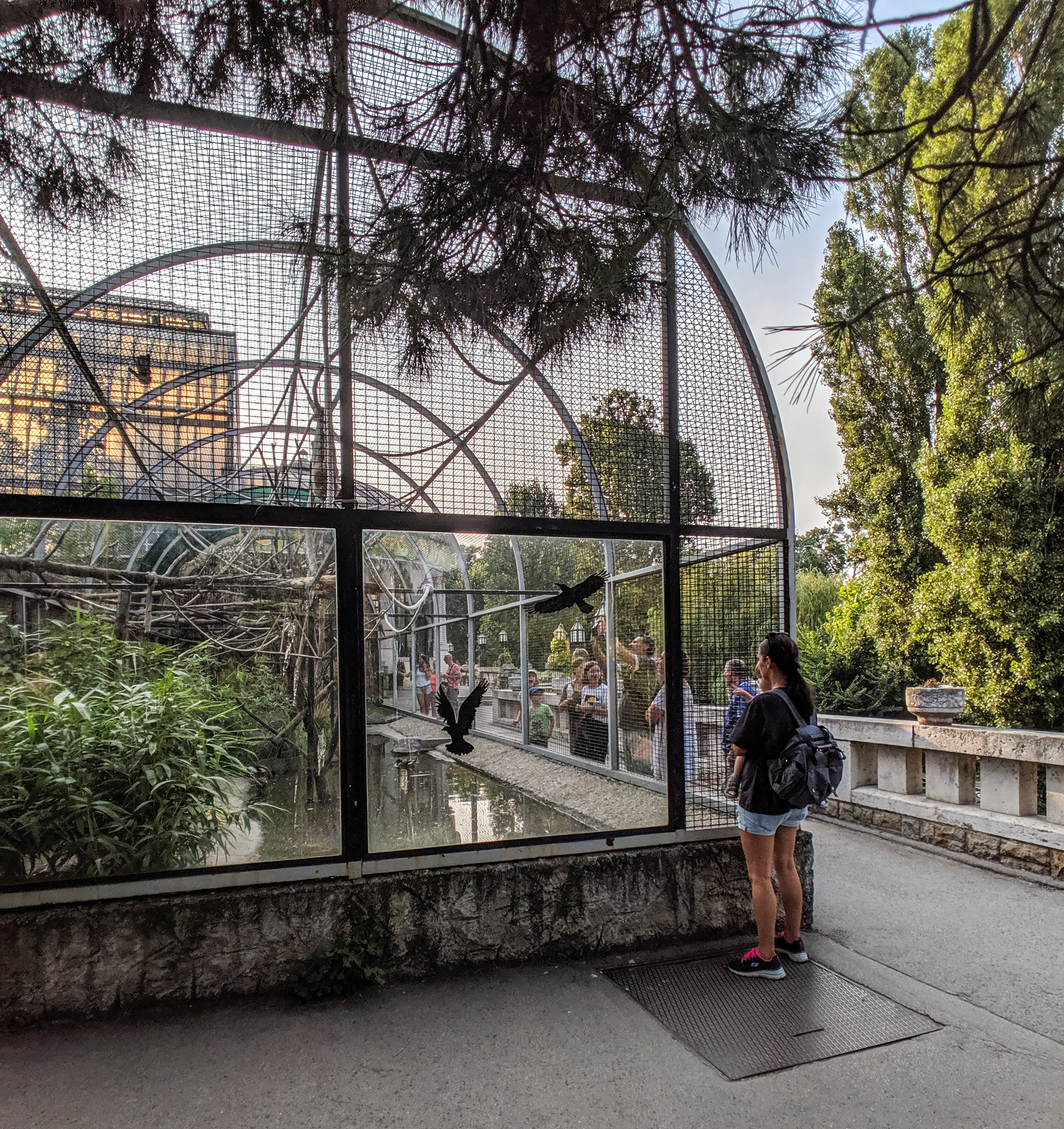 Aviary at at budapest zoo.