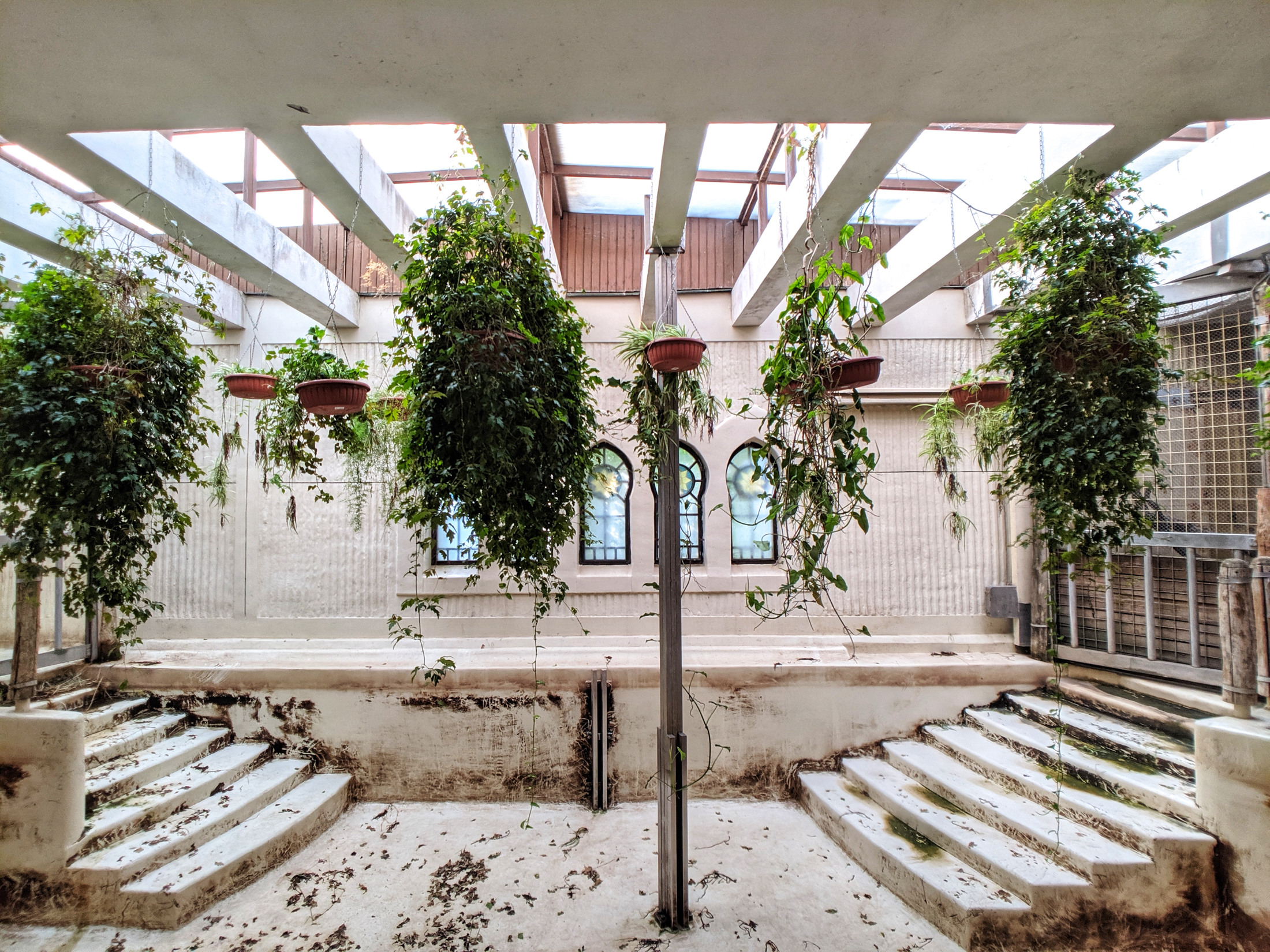 Indoor plants at the budapest zoo.