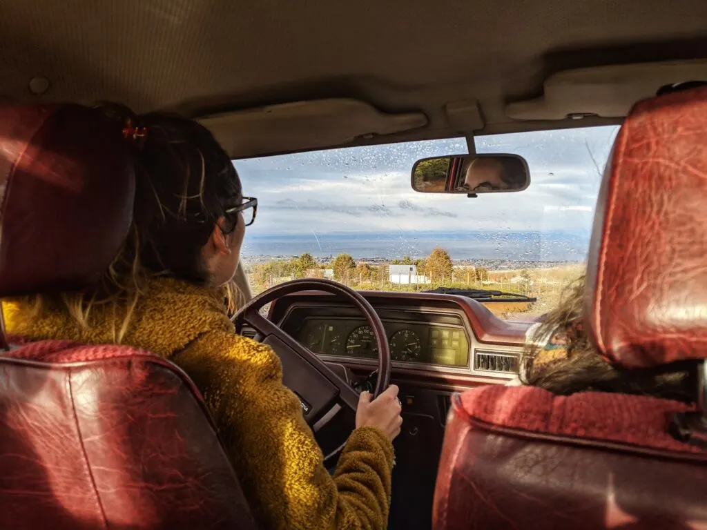A driver and passenger driving