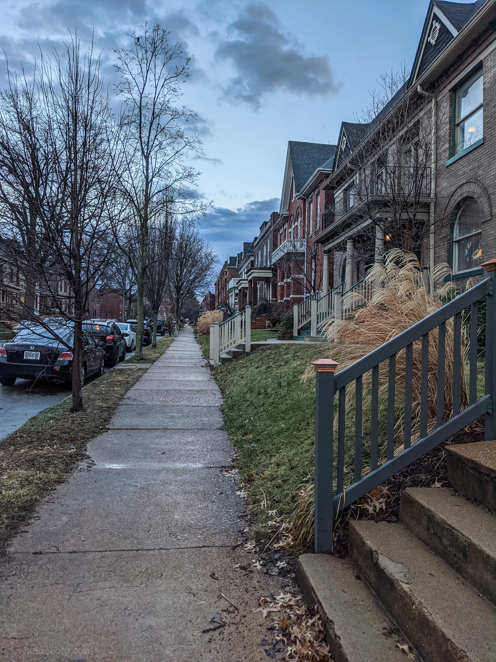 Houses in urban saint louis.