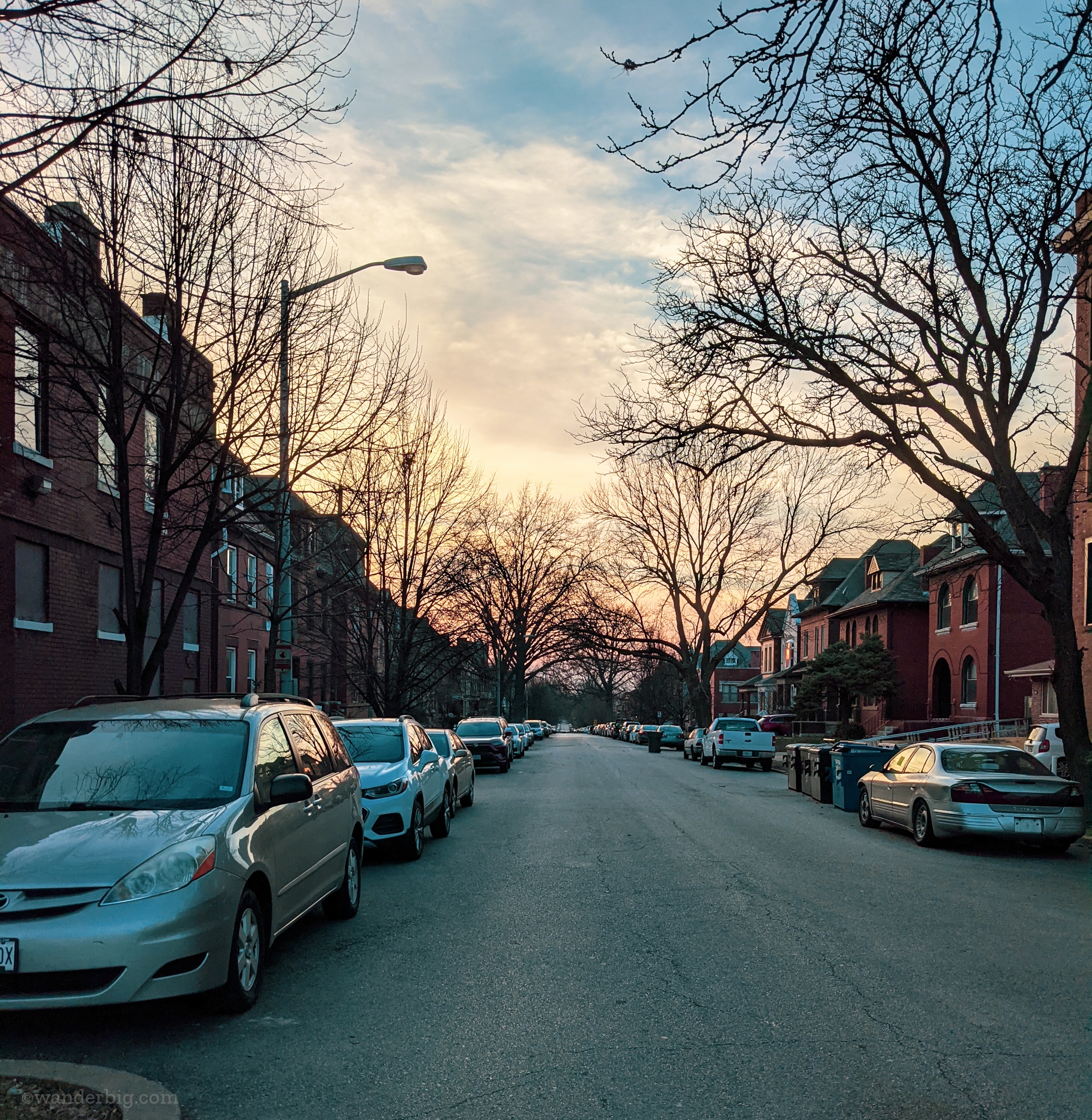 Houses in urban saint louis.
