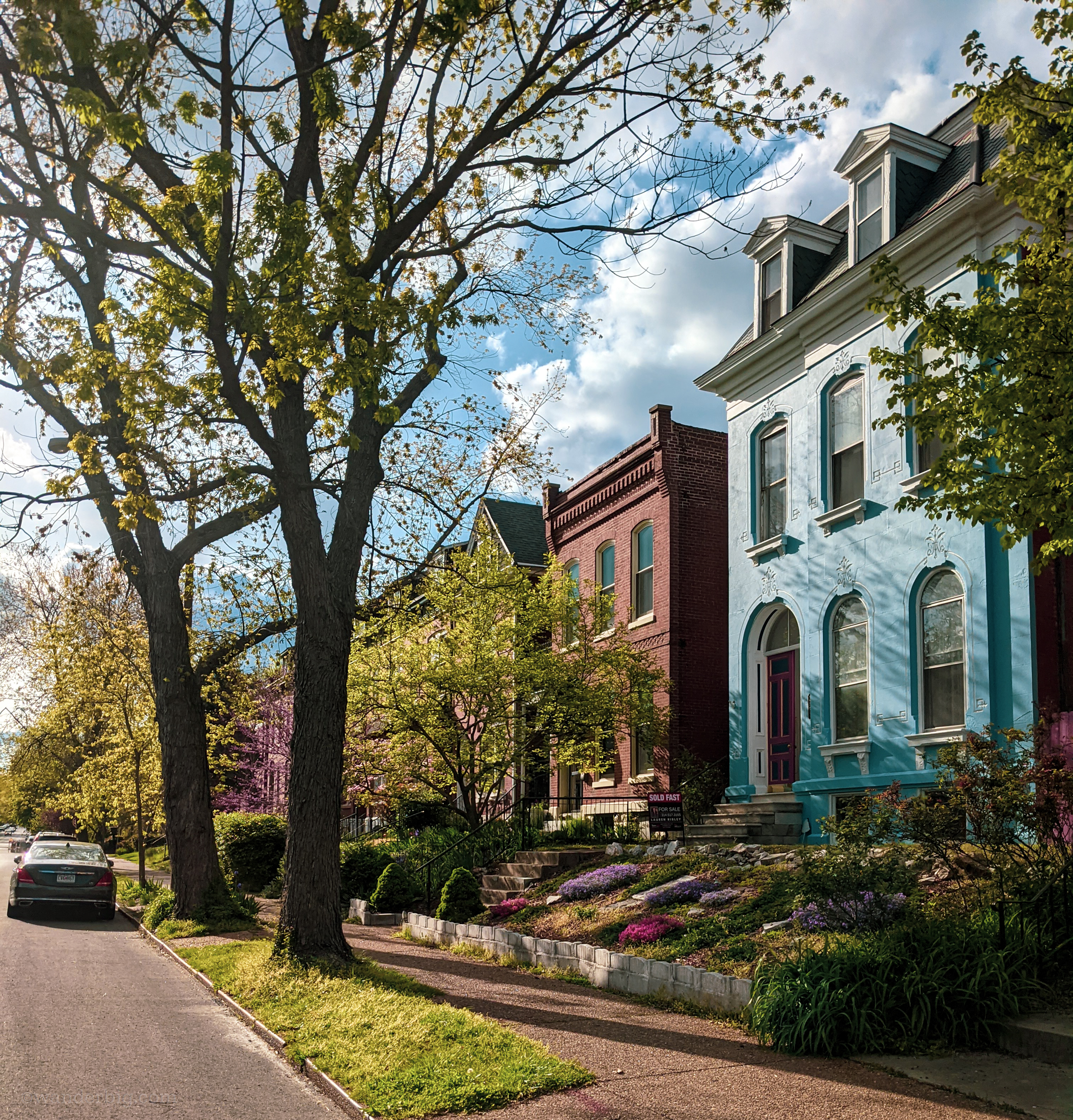 Houses in urban saint louis.