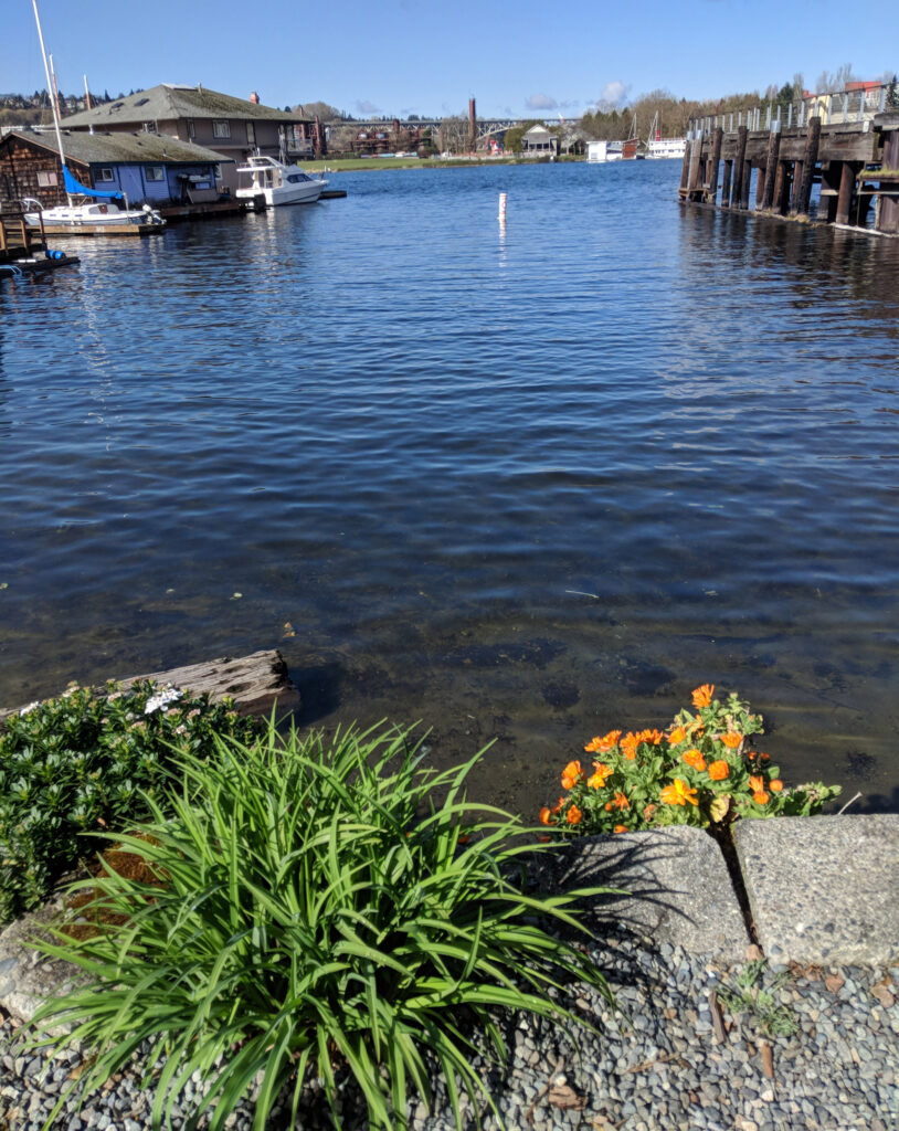 A street end public swimming beach in seattle.