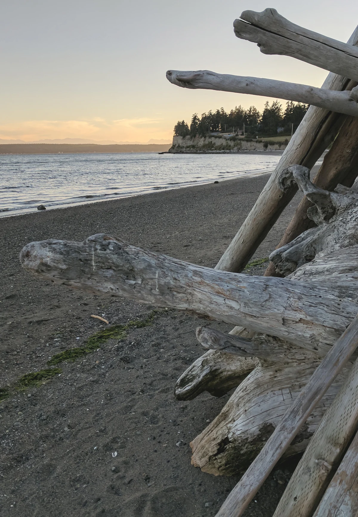 Driftwood stacked on a beach in the northwest us.