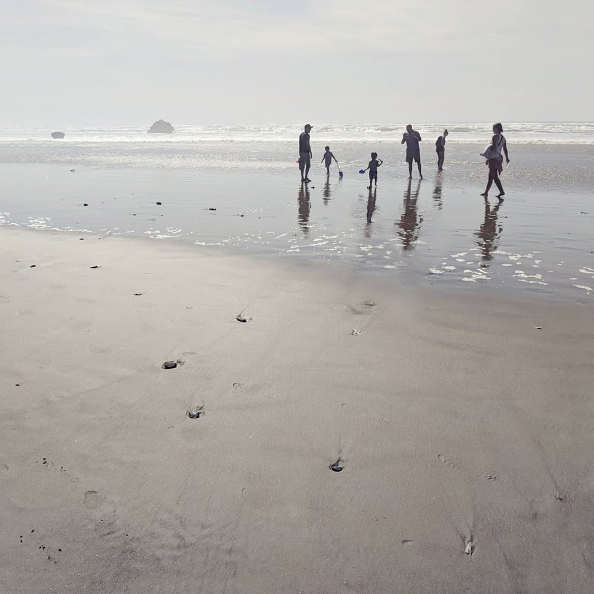 A family on the beach in oregon.