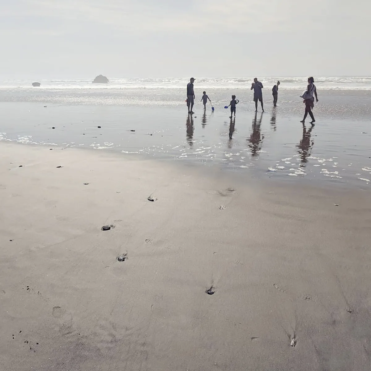 A family on the beach in oregon.